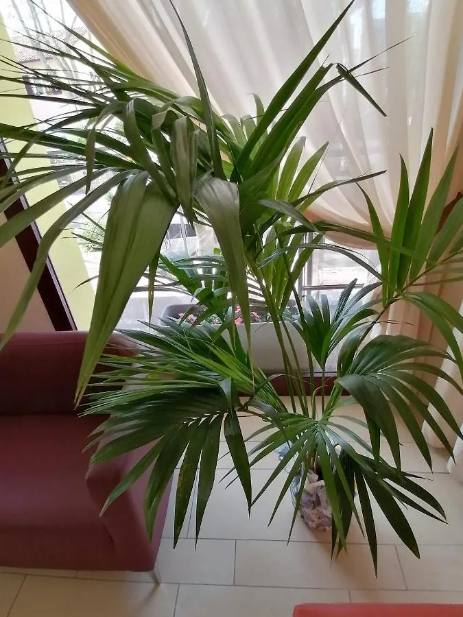 Hotel Abel Cesenatico